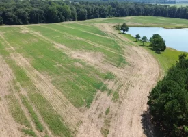 South Houston County Farm