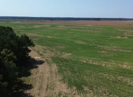 South Houston County Farm