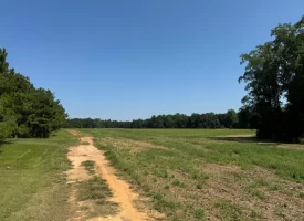 South Houston County Farm