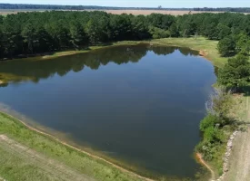 South Houston County Farm