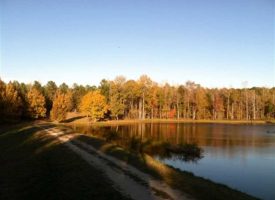 Gorgeous lake tract with timber and abundant wildlife, Upson Co. GA