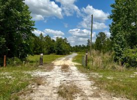 Hwy 280 Pembroke Tract