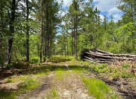 Hwy 280 Pembroke Tract