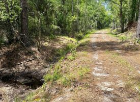 Hwy 280 Pembroke Tract