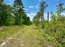 Hwy 280 Pembroke Tract