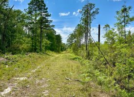 Hwy 280 Pembroke Tract