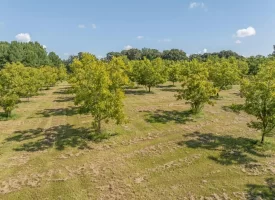 Cardinal Ridge Farm