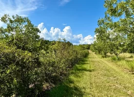 Cardinal Ridge Farm