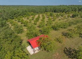 Cardinal Ridge Farm