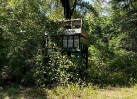 Cardinal Ridge Farm