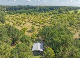 Cardinal Ridge Farm