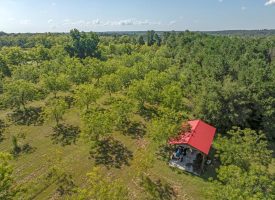 Cardinal Ridge Farm