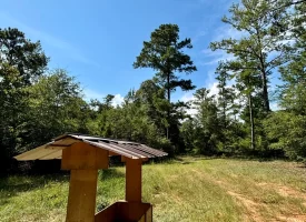 Cardinal Ridge Farm